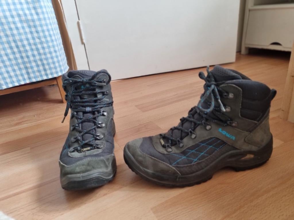 Lowa Renegade GTX Dames Bergschoenen Maat 40, Gebruikt, Lowa, Schoenen, M