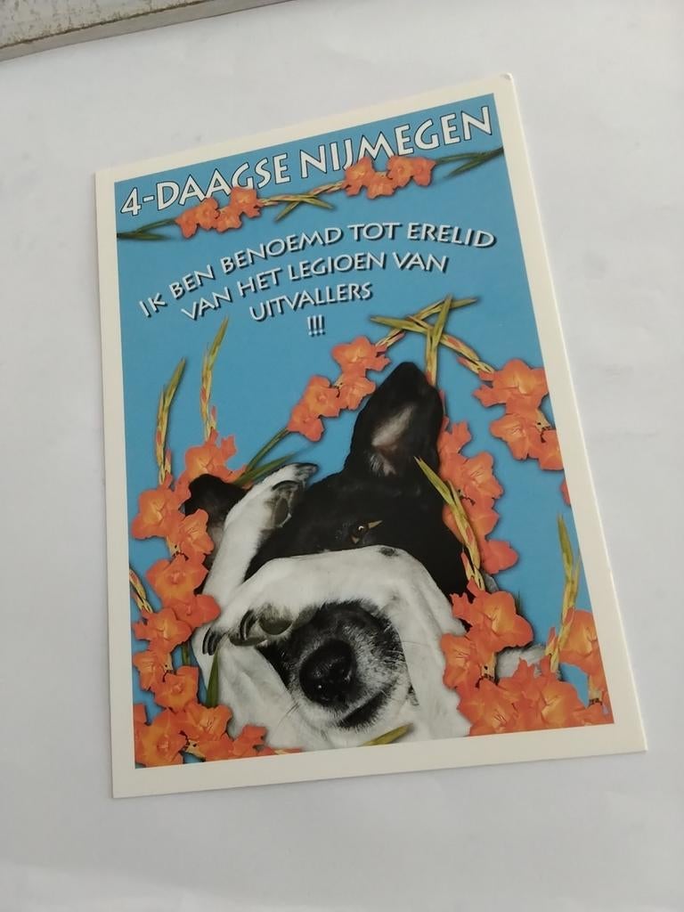 4 - DAAGSE. NIJMEGEN. HOND, Verzamelen, Ophalen of Verzenden, Overige thema's