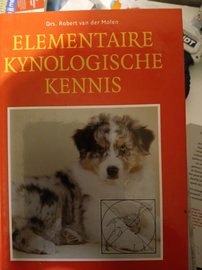 Elementaire  kynologische kennis-Robert vd Molen, Ophalen of Verzenden, Gelezen, Honden