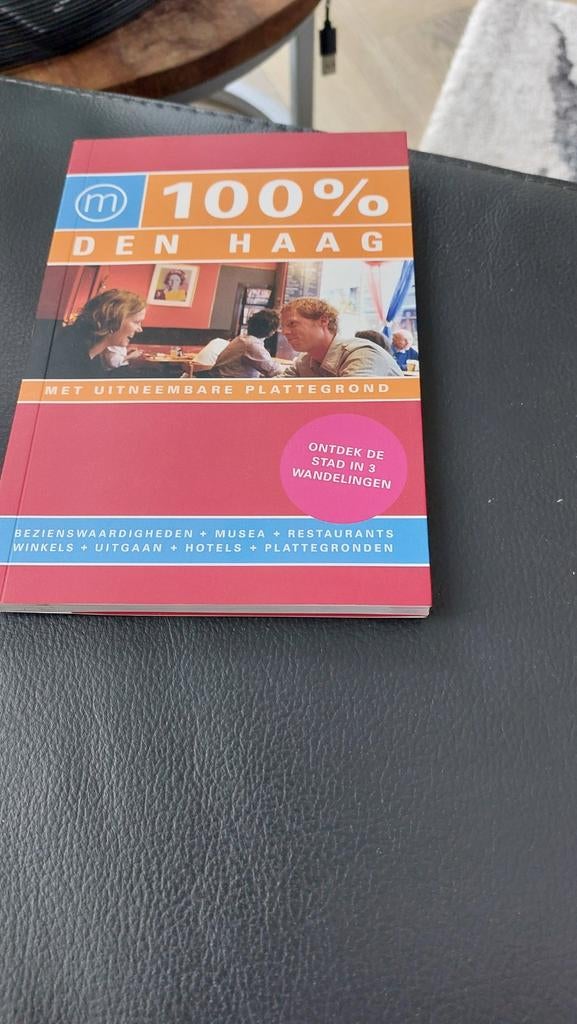 100% Den Haag Reisgids, Europa, Ophalen of Verzenden, Zo goed als nieuw, Reisgids of -boek