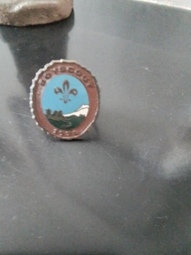 Boy Scout DASRING JAPAN, Verzamelen, Ophalen of Verzenden, Gebruikt, Embleem, Speld of Insigne