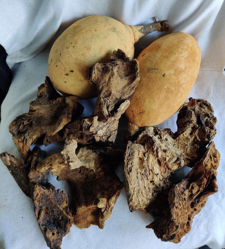 Grote partij groen/decoratie materialen, Ophalen of Verzenden, Nieuw