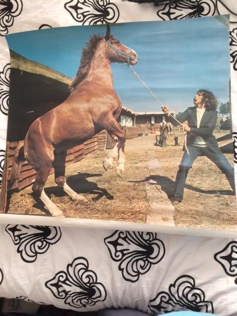 poster van een steigerend paard Lois jeans&jackets jr 70 80, Ophalen of Verzenden, Gebruikt, A1 t/m A3, Reclame