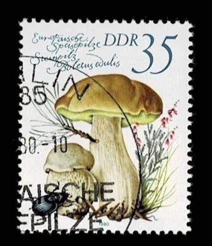 postzegel 2214 DDR paddenstoel Eekhoorntjesbrood, Ophalen of Verzenden, DDR, Gestempeld