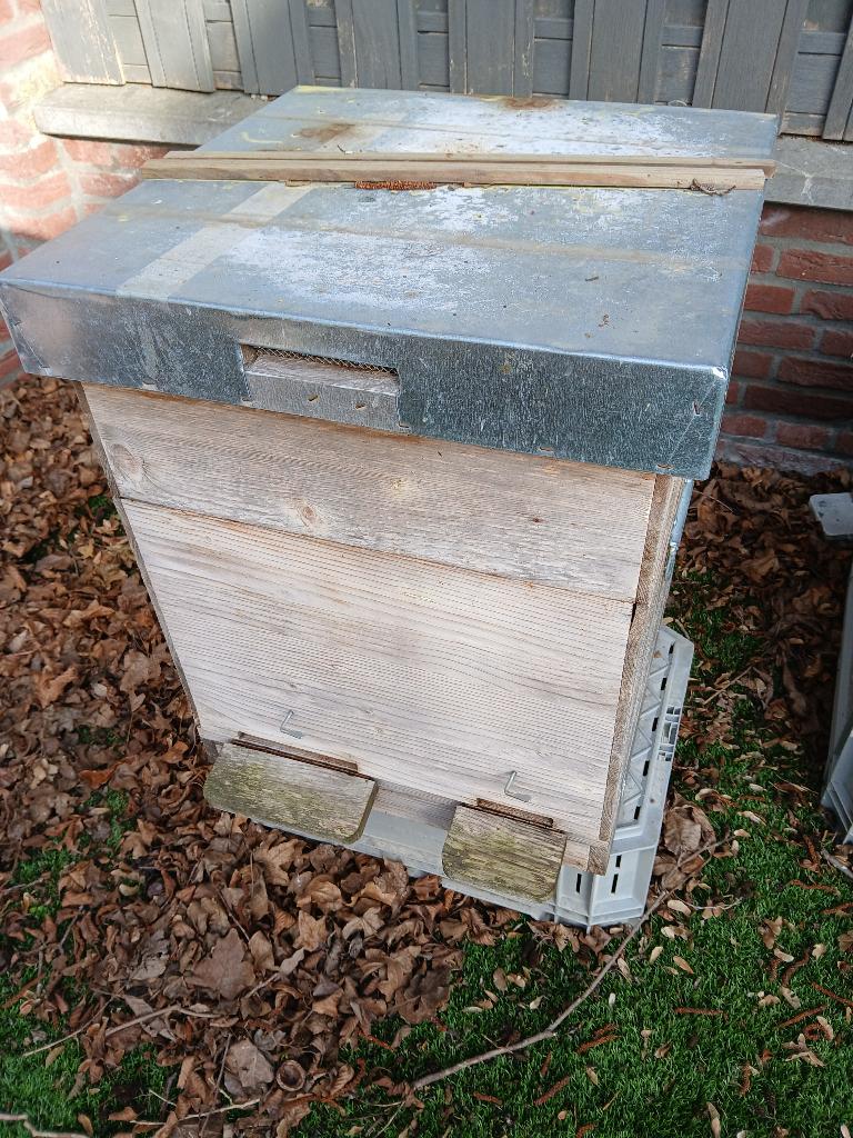 Carnica bijenvolk op dubbele dadant kasten, Dieren en Toebehoren, Insecten en Spinnen, Bijen