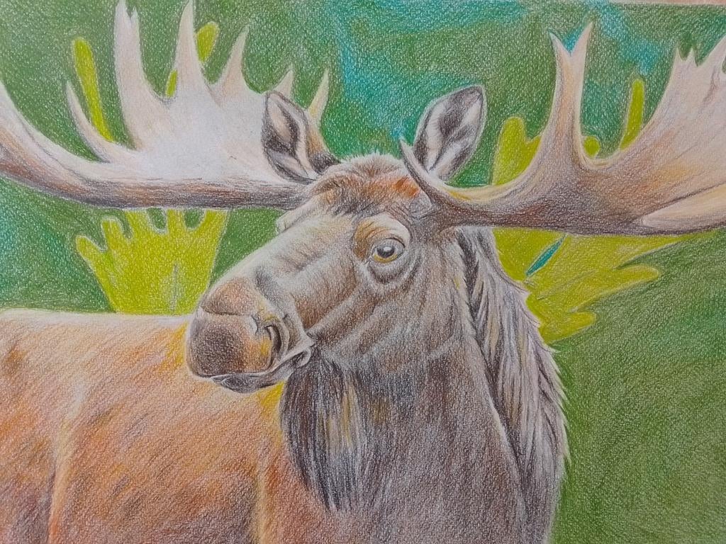 Handgemaakte unieke tekening eland, Ophalen of Verzenden