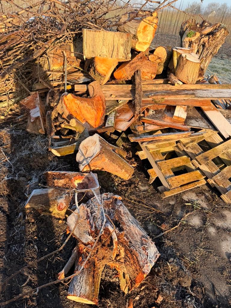 Gratis haardhout / kachelhout – zelf zagen en afvoeren, Minder dan 3 m³, Ophalen, Overige houtsoorten, Stammen