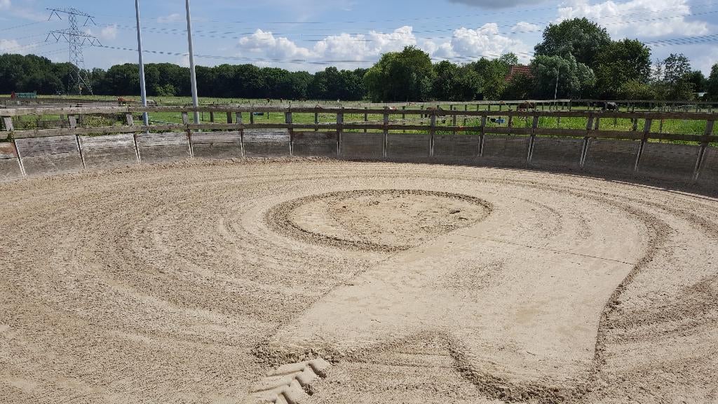 Paardenbox(en) beschikbaar, Dieren en Toebehoren, Stalling en Weidegang, Weidegang, 2 of 3 paarden of pony's