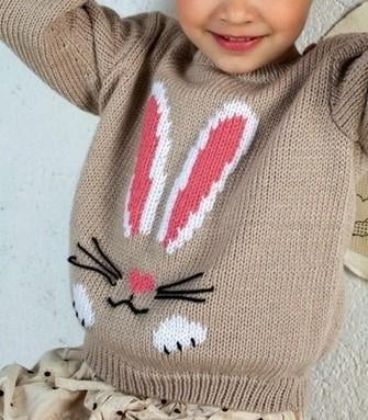 Hazensnoet trui breipatroon, Ophalen of Verzenden, Zo goed als nieuw, Breien, Patroon of Boek