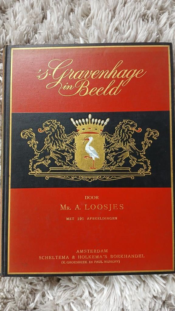 's Gravenhage in Beeld - Mr. A. Loosjes, Ophalen of Verzenden, 20e eeuw of later, Gelezen, Mr. A. Loosjes