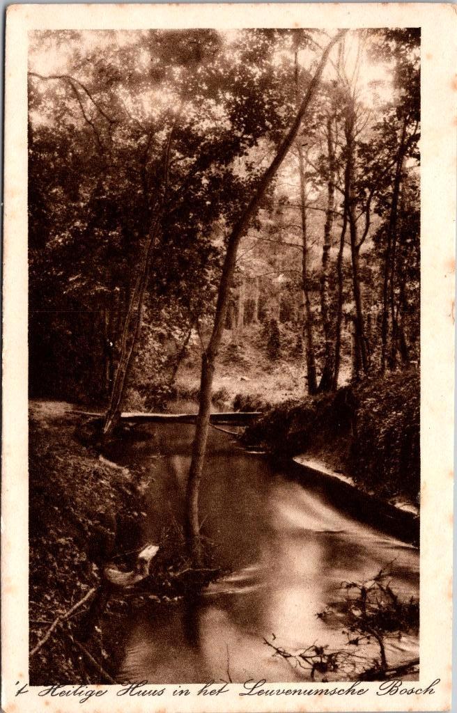 Leuvenum - Leuvenumsche Bosch (1912), Verzenden, Voor 1920, Gelopen, Gelderland