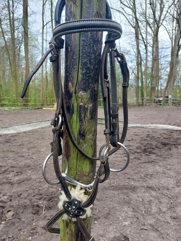 Mexicaans hoofdstel COB, Dieren en Toebehoren, Paarden en Pony's | Hoofdstellen en Tuigage, Ophalen of Verzenden, Gebruikt