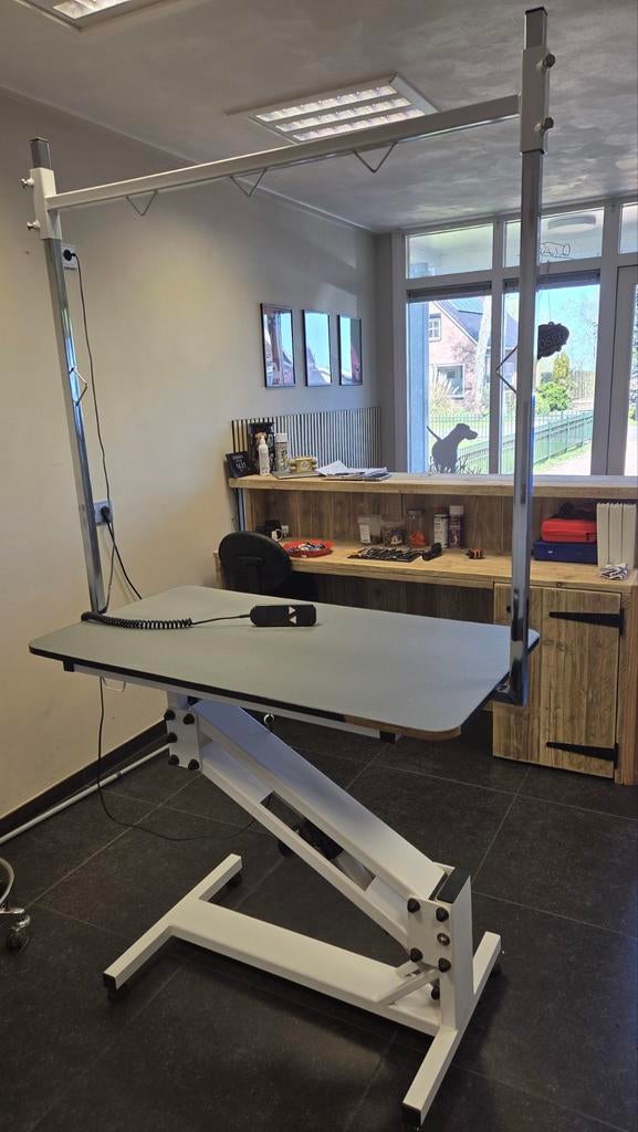 Trimtafel elektrisch te koop, Dieren en Toebehoren, Honden-accessoires, Ophalen