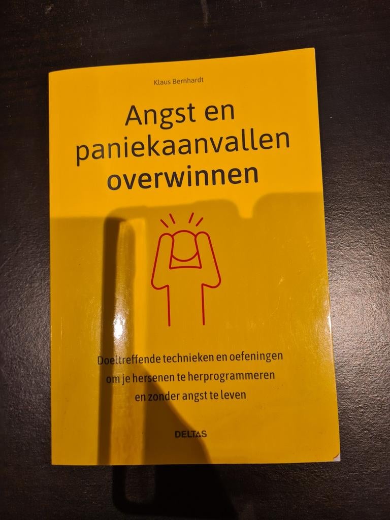 Angst en paniekaanvallen overwinnen - Klaus Bernhardt, Boeken, Ophalen of Verzenden, Zo goed als nieuw, Klinische psychologie