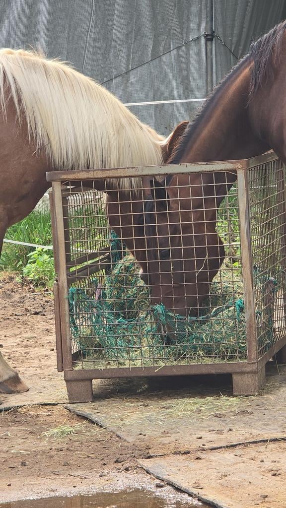 Hooiruif te koop! Zware kwaliteit, Dieren en Toebehoren, Paarden en Pony's | Overige Paardenspullen, Ophalen of Verzenden, Overige soorten