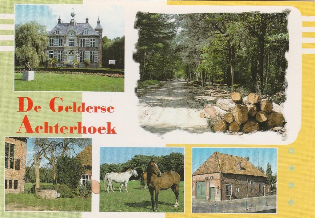 GELDERSE ACHTERHOEK Kastel Paarden Bos, Verzenden, Gelopen, Gelderland