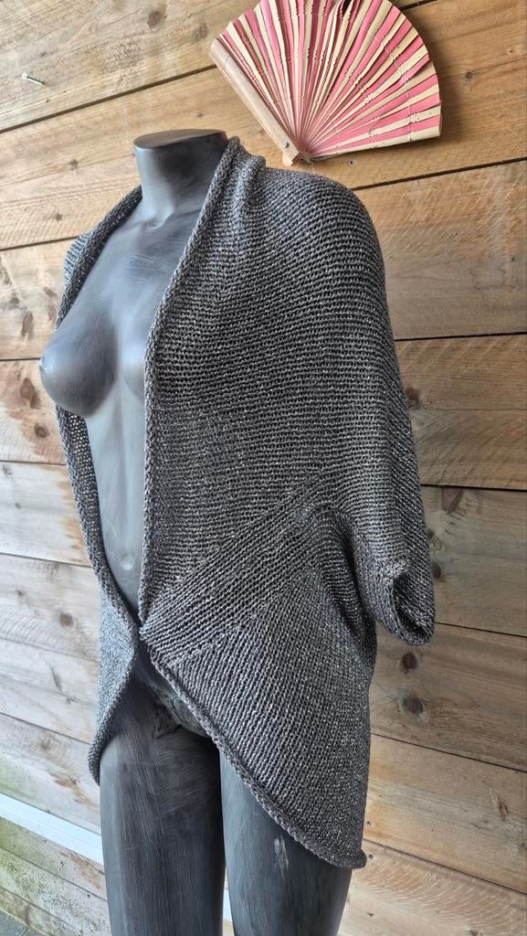 Marina Rinaldi Zilverkleurige Cocoon Vest Maat L, Kleding | Dames, Maat 42/44 (L), Ophalen of Verzenden, Grijs, Gedragen