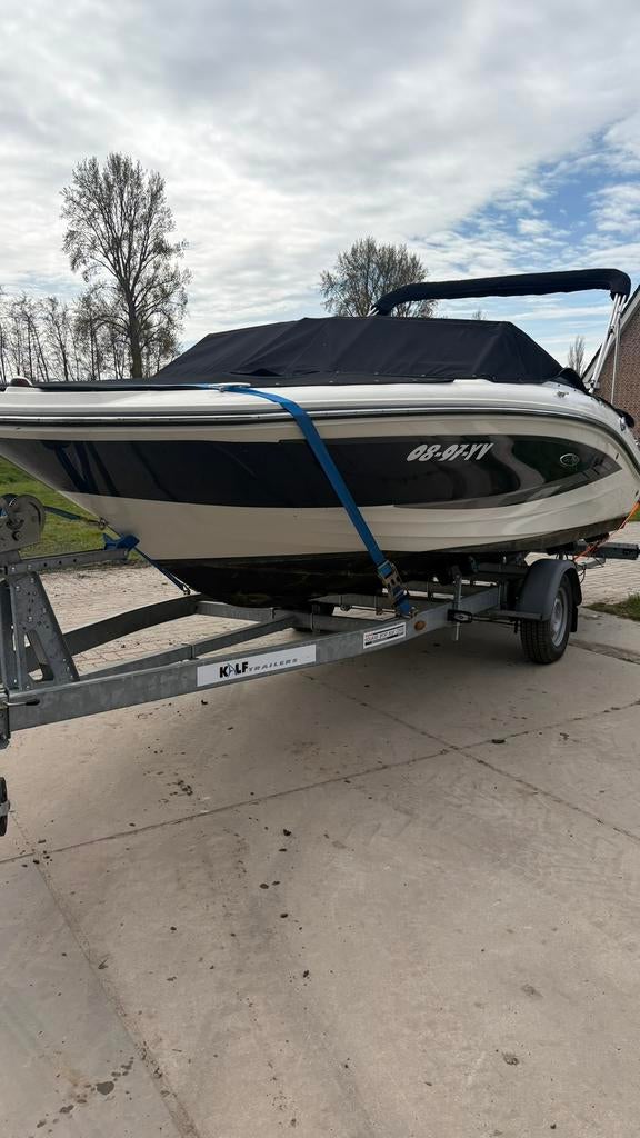 Sea Ray 19 SPX - VOLLEDIG NIEUWE MOTOR - Vaarklaar, Ophalen, Gebruikt, Binnenboordmotor, 120 tot 200 pk