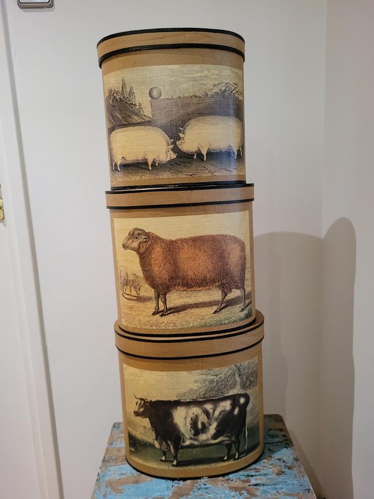 Meander opbergdozen ontwerp kittie markus, Ophalen of Verzenden