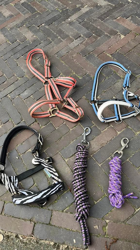 Halsters en halster touwen, Dieren en Toebehoren, Ophalen of Verzenden, Zo goed als nieuw, Overige soorten