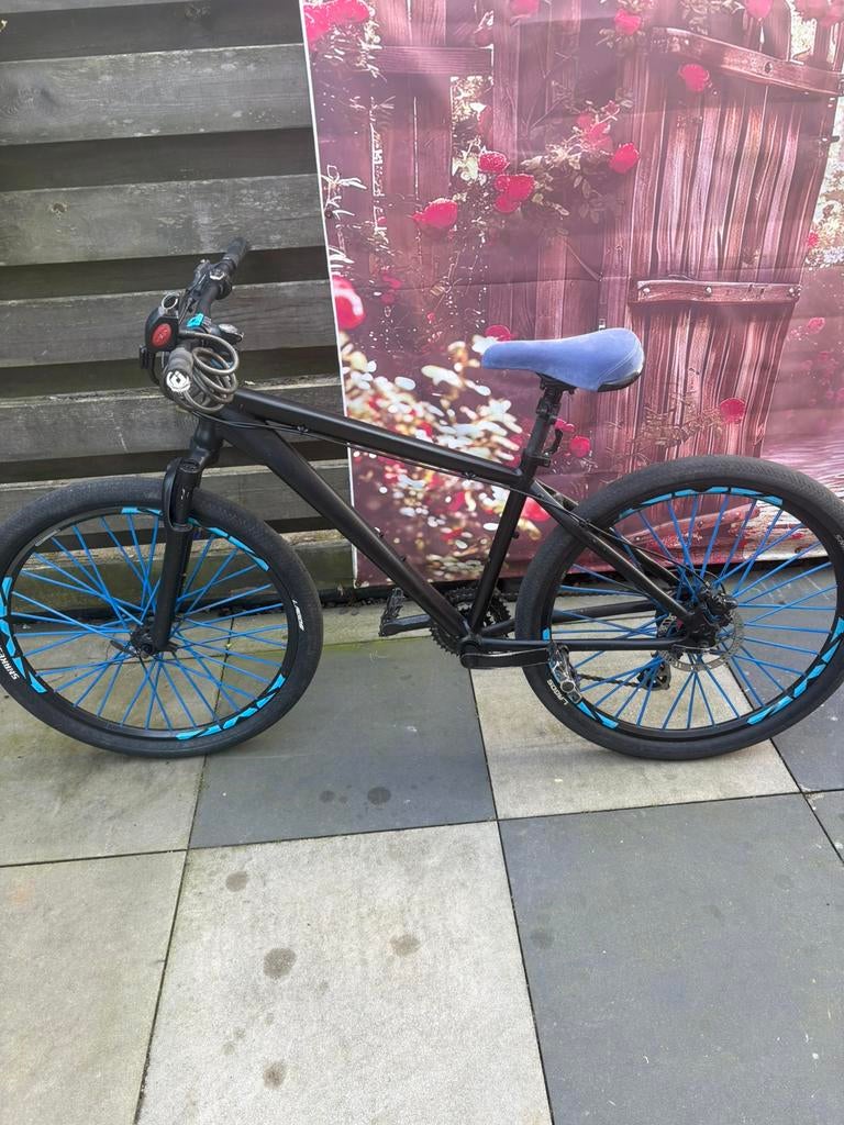 Wheelie fiets met blauwe spaken en schijfremmen, Ophalen, Gebruikt, Staal, 24 inch of meer