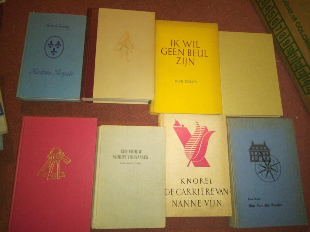 Diverse collectie vintage boeken - Romans en meer, Verzenden, Gelezen, Diverse auteurs, Nederland