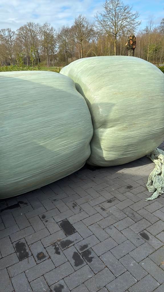 Gezocht ronde balen hooi in folie, Dieren en Toebehoren, Dierenvoeding, Ophalen of Verzenden, Vee