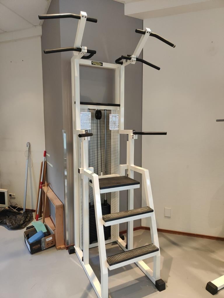 Technogym easy power station isotonic chin dip, Ophalen, Technogym, -, -