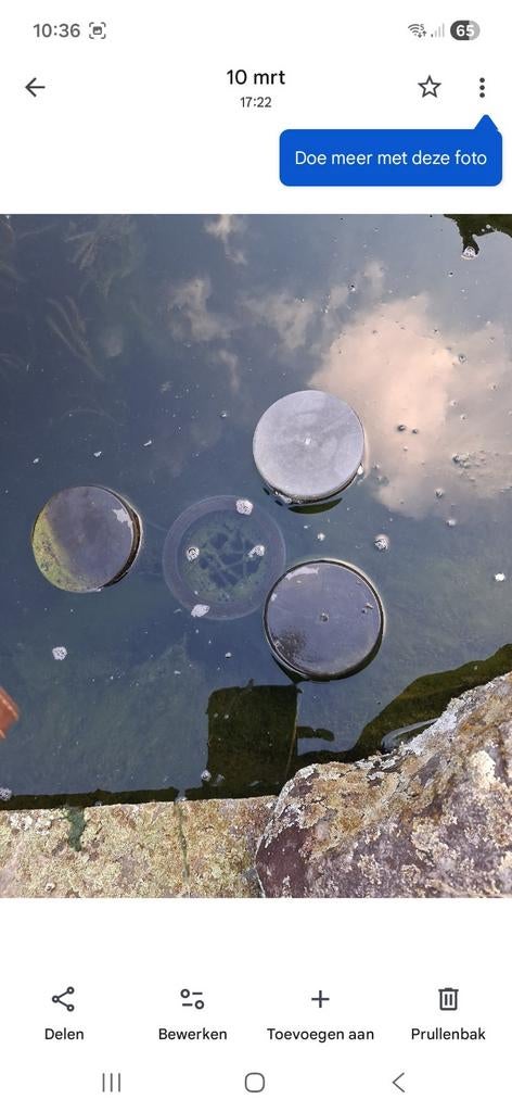Skimmer  voor vijver - houdt water schoon, Tuin en Terras, Vijver-toebehoren, Ophalen of Verzenden, Gebruikt, Overige typen