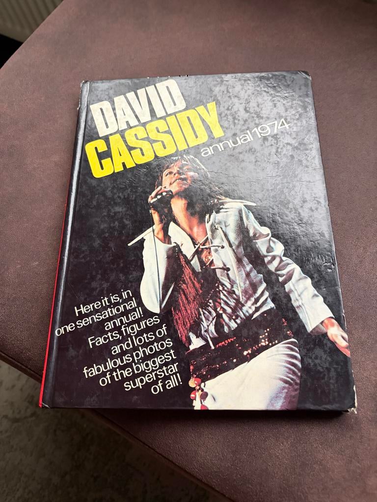 David Cassidy annual 1974, Ophalen of Verzenden, Gebruikt