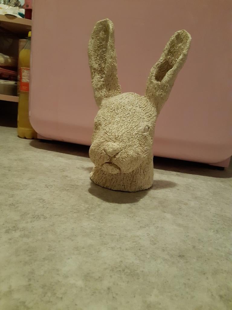 Konijnhoofd van steen, Ophalen, Zo goed als nieuw, Binnen