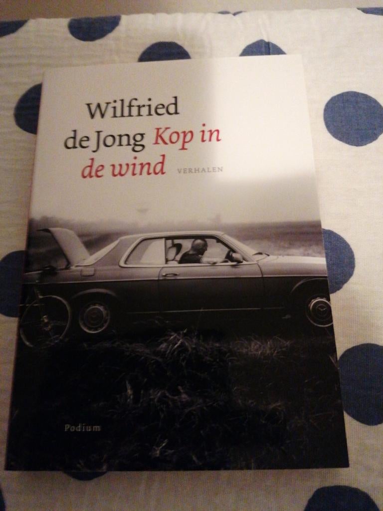 Wilfried de Jong - Kop in de wind, Boeken, Sportboeken, Gelezen, Lopen en Fietsen, Ophalen of Verzenden