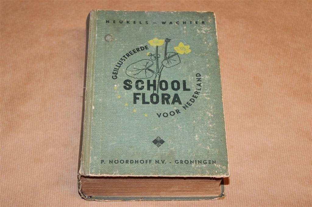 Geïllustreerde Schoolflora voor Nederland — Heukels 1949, Boeken, Ophalen of Verzenden, Gelezen