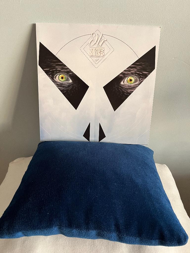 DLR -Your Mind (2 x 12"), Ophalen of Verzenden, Zo goed als nieuw, 12 inch