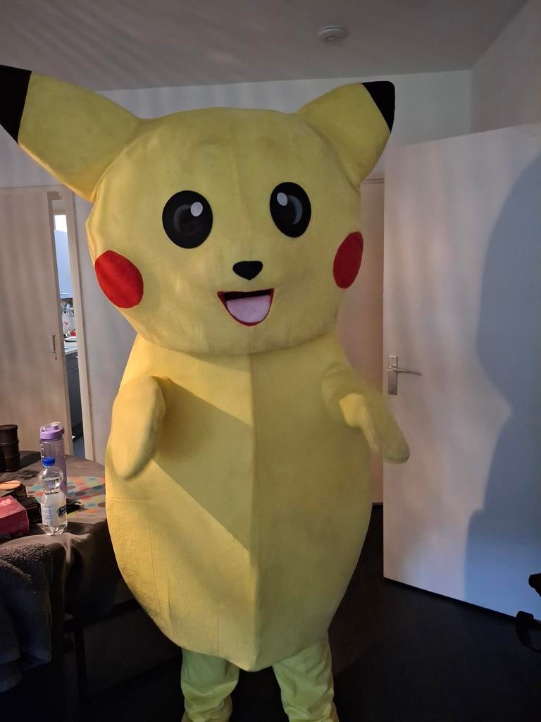 Pokemon mascotte te huur, Hobby en Vrije tijd, Feestartikelen | Verhuur, Zo goed als nieuw, Overige, Ophalen of Verzenden