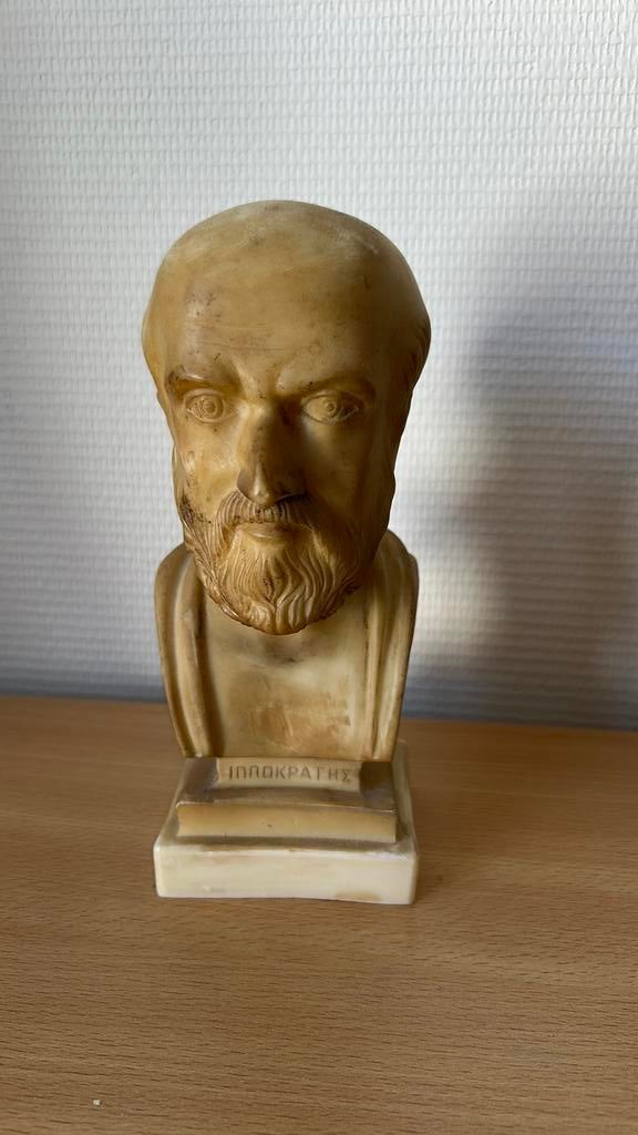 Buste van Hippocrates - Antieke Griekse filosoof, Ophalen of Verzenden