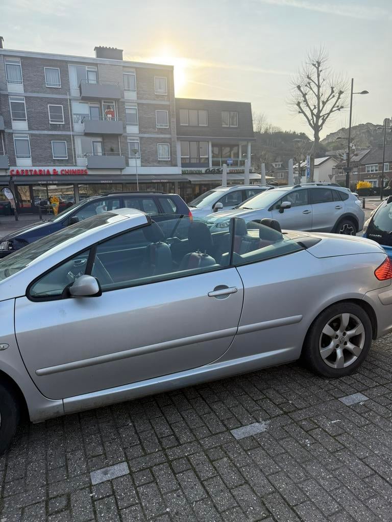 Peugeot 307 2.0 16V CC 2006 Grijs, Voorwielaandrijving, 4 cilinders, Cabriolet, 4 stoelen