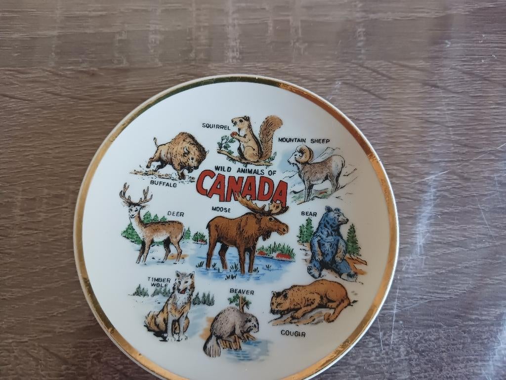 Oud Canadees toeristen schoteltje, Ophalen of Verzenden