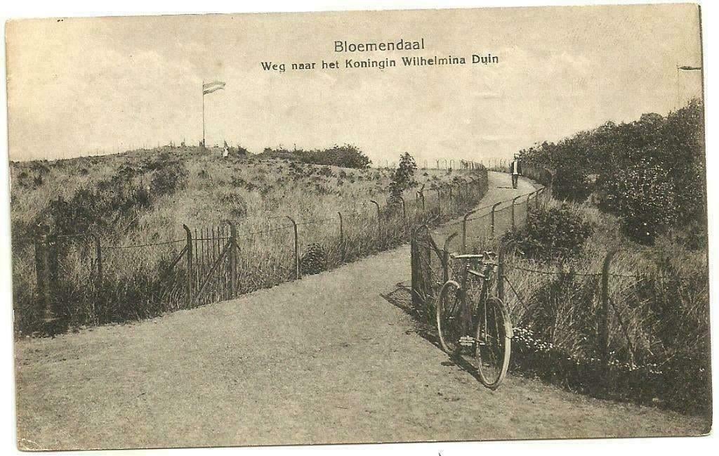 AK Den Dolder - Doldersche Weg, Verzenden, 1920 tot 1940, Ongelopen, Utrecht