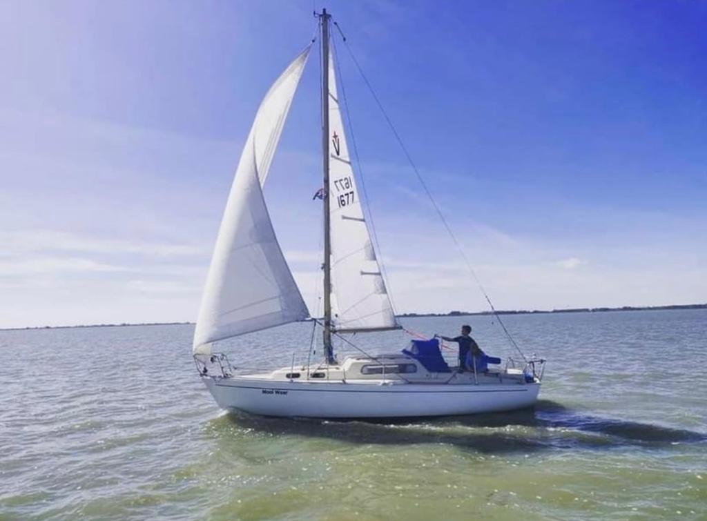 Albin Vega, Ophalen, Gebruikt, Tourjacht of Cruiser, 6 tot 9 meter