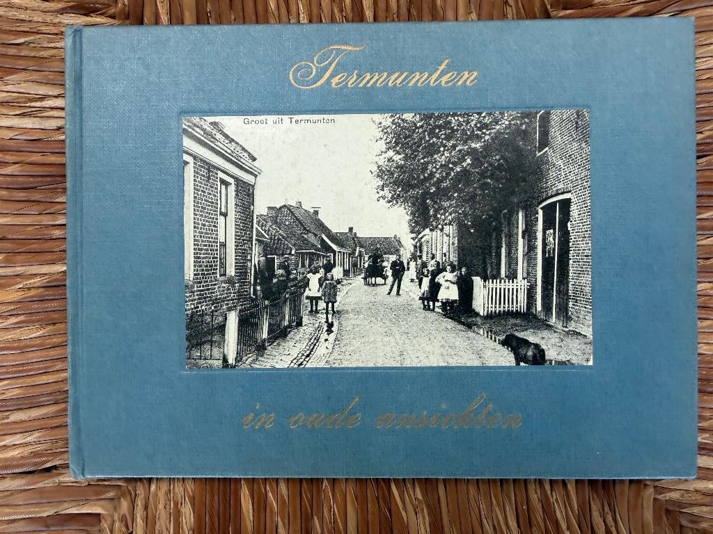 Termunten in Oude Ansichten - Delfzijl Appingedam, Ophalen of Verzenden, 20e eeuw of later, Gelezen