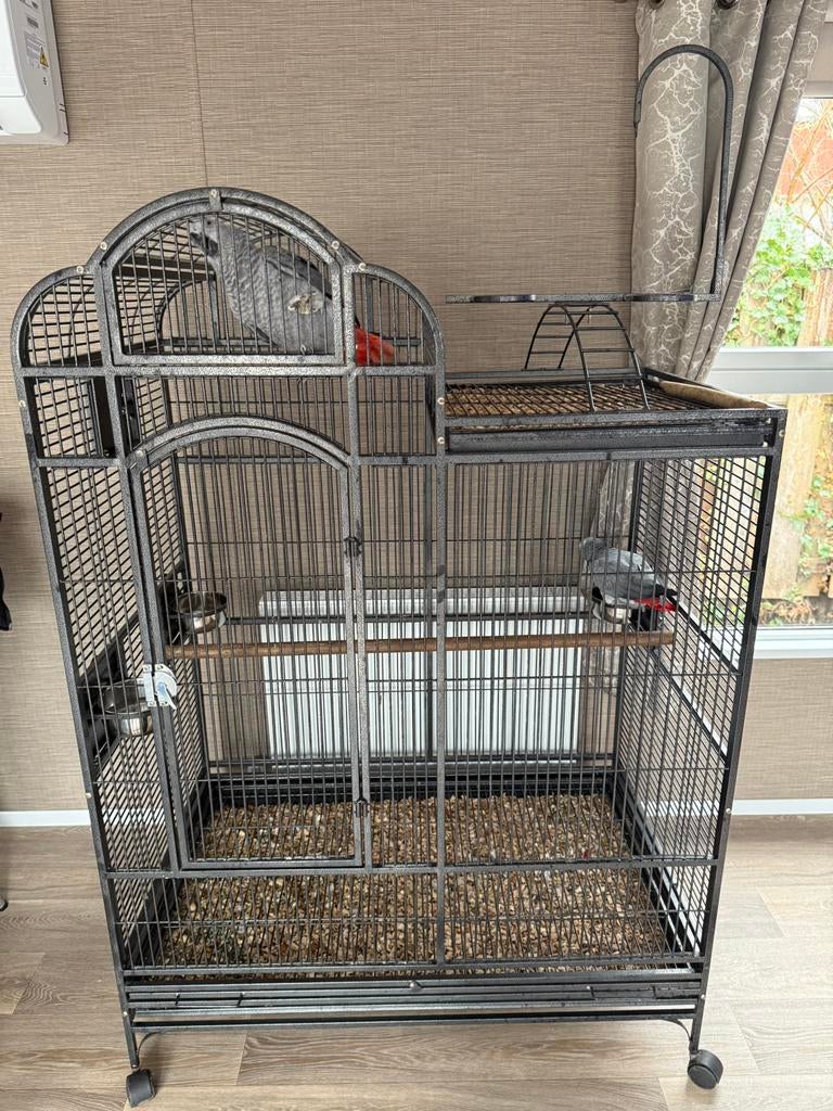 Papegaai kooi strong venus xl village, Dieren en Toebehoren, Vogels | Hokken en Kooien, Ophalen, Zo goed als nieuw, Metaal, Vogelkooi