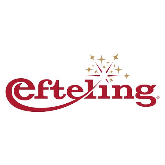 Efteling tickets geen datum. 35€ p.s, Twee personen, Overige soorten, Pretpark