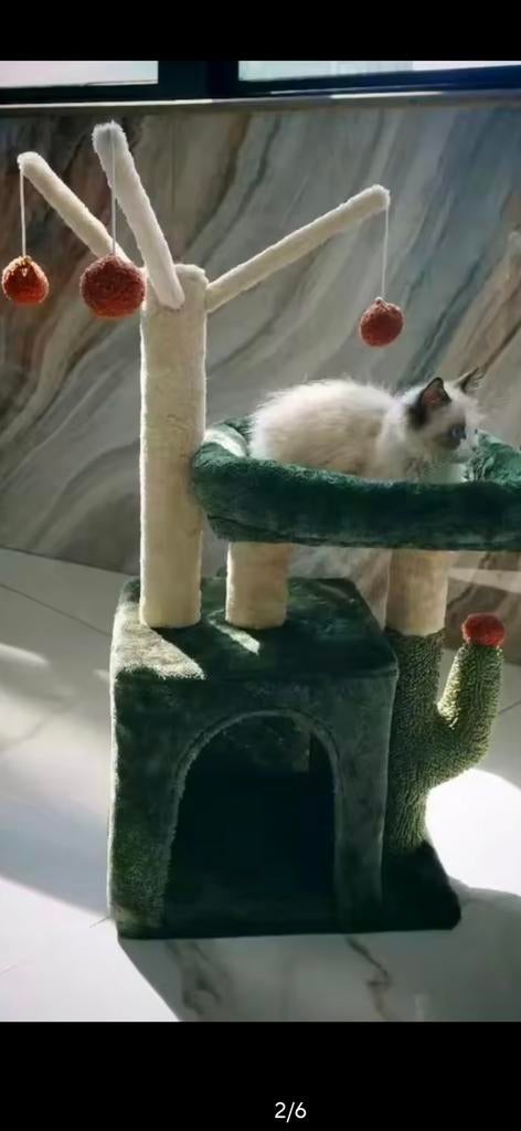 10 stuks luxe katten klimboomtoren ,balspeelgoed €125, Ophalen, Info@wilnic.nl, Wilnic, Nieuw