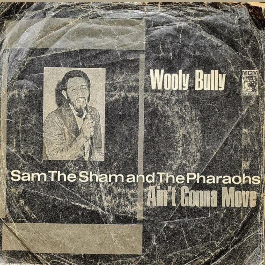SAM THE SHAM -  WOOLY BULLY (HOES BESCHADIGD), Ophalen of Verzenden, Gebruikt