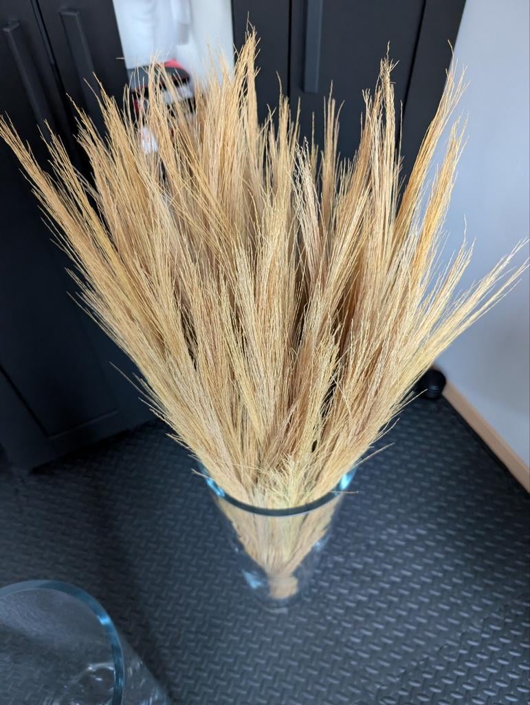 2 zware glazen conische vazen (incl. pluim), Ophalen, Gebruikt, Overige kleuren, 50 tot 75 cm