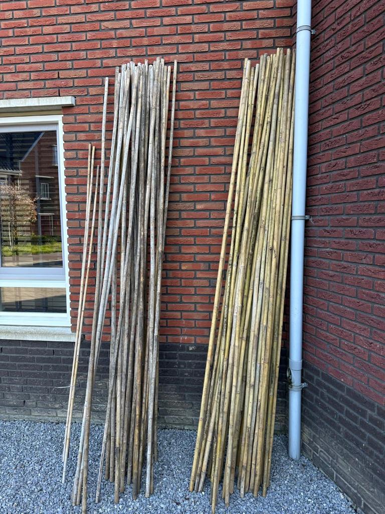 Tonkinstokken, Ophalen, Gebruikt, 250 cm of meer, Palen