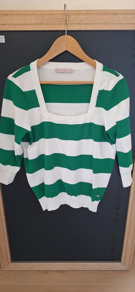 Studio Anneloes gestreepte top - Maat M, Kleding | Dames, Tops, Zo goed als nieuw, Maat 38/40 (M), Groen, Lange mouw, Ophalen of Verzenden