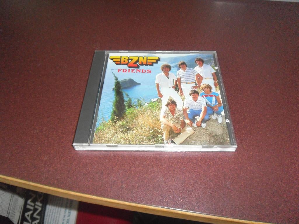 cd bzn friends, Ophalen of Verzenden, 1980 tot 2000, Zo goed als nieuw