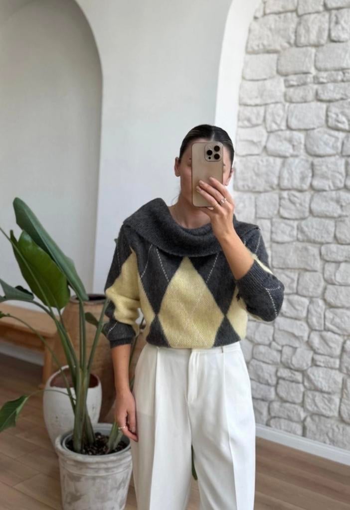 Partij dames kleding (tientallen modellen)inclusief webshop)